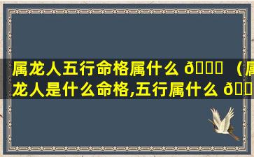 属龙人五行命格属什么 🐋 （属龙人是什么命格,五行属什么 🐴 ）